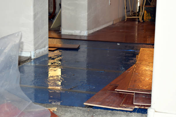 Professional Burst Pipe Cleanup technician working in Dodd City, TX