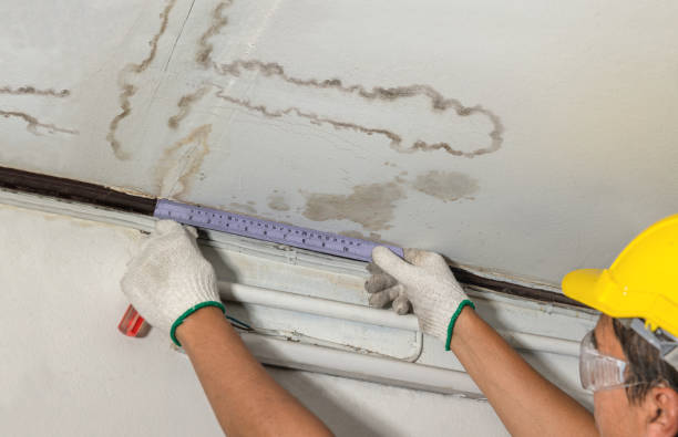 Reliable Burst Pipe Cleanup contractor in Dodd City, TX by Water Damage Irwin